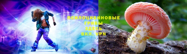 дмт Алзамай