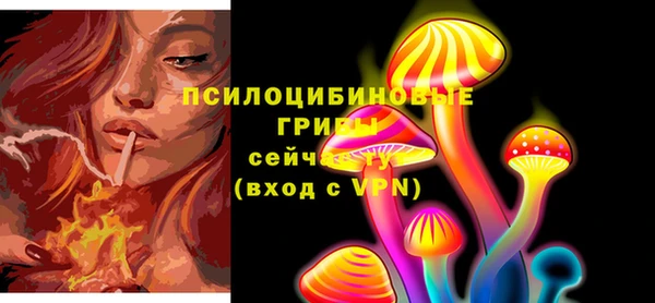 дмт Алзамай