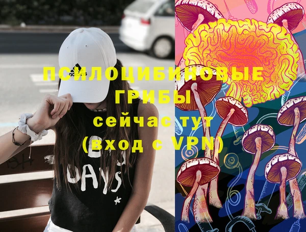 гидропоника Алексеевка