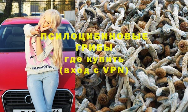 гидропоника Алексеевка