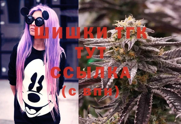 дмт Алзамай